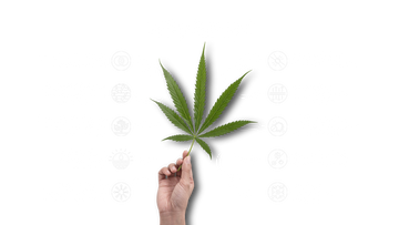 Why Hemp?' image